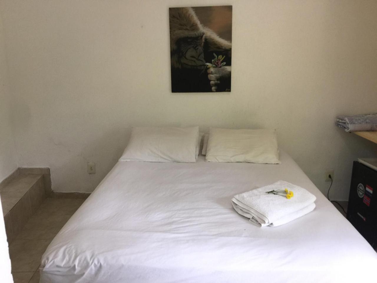 Butterfly Vanazul Guesthouse Rio de Janeiro Dış mekan fotoğraf